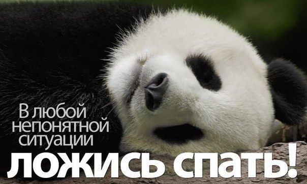Ищу поставщика